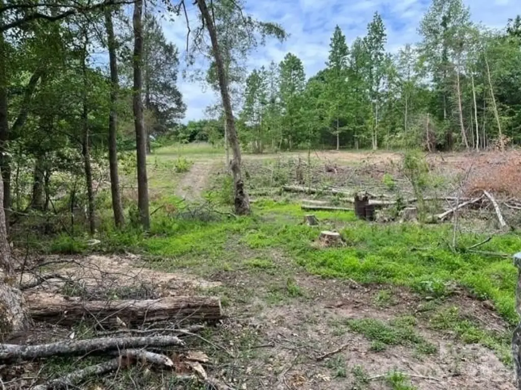 Picture 13