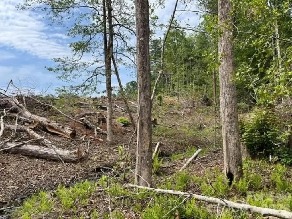 Picture 18