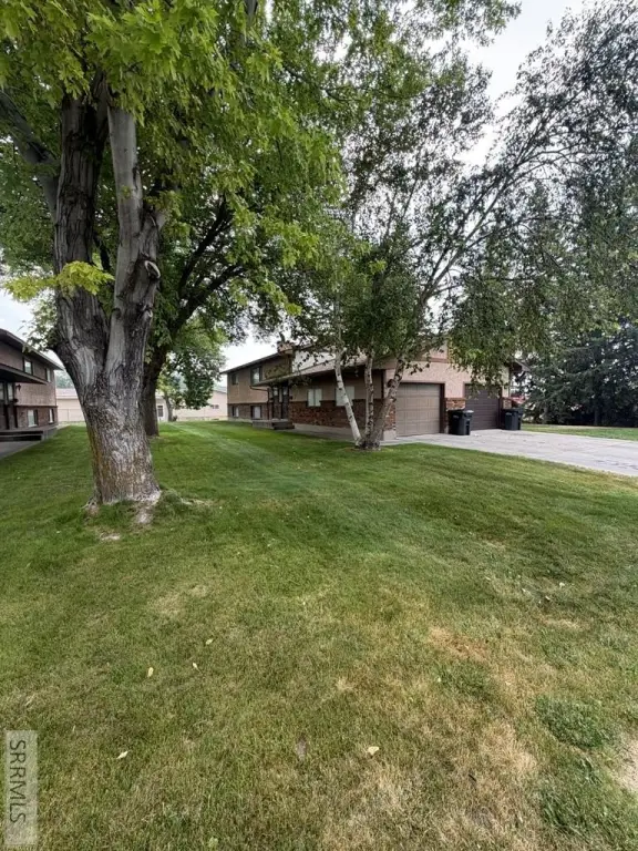 Picture 5