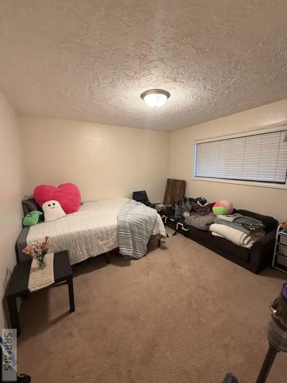 Picture 28