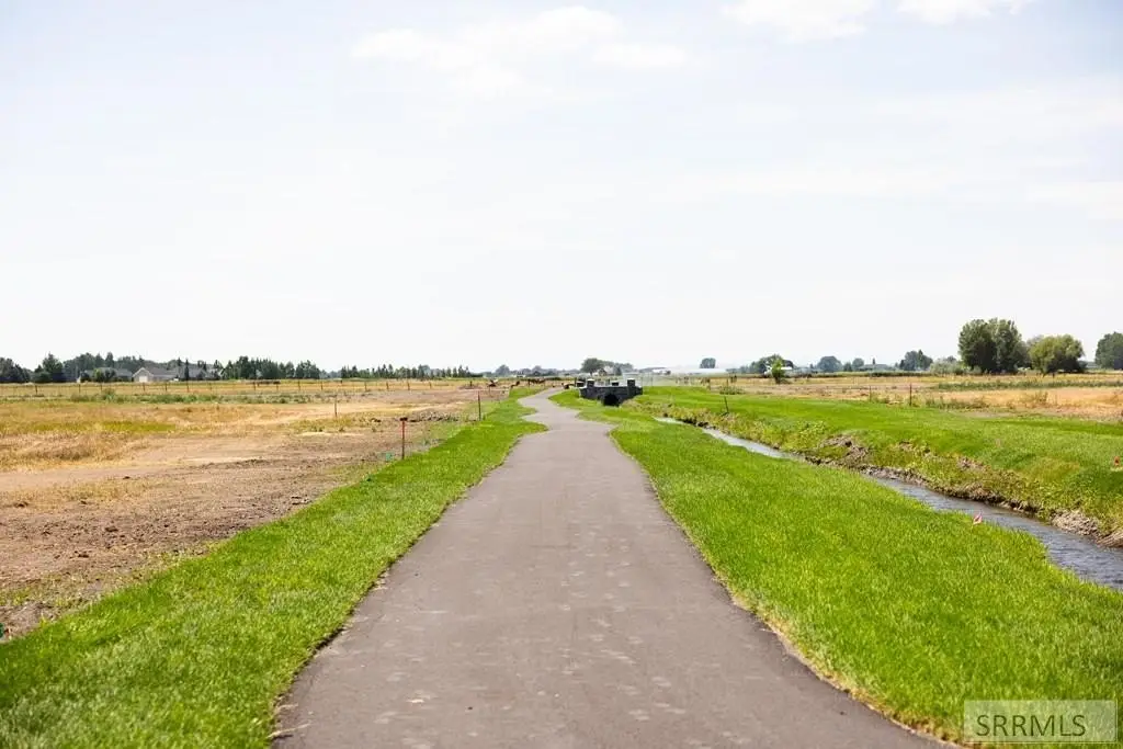 Picture 8