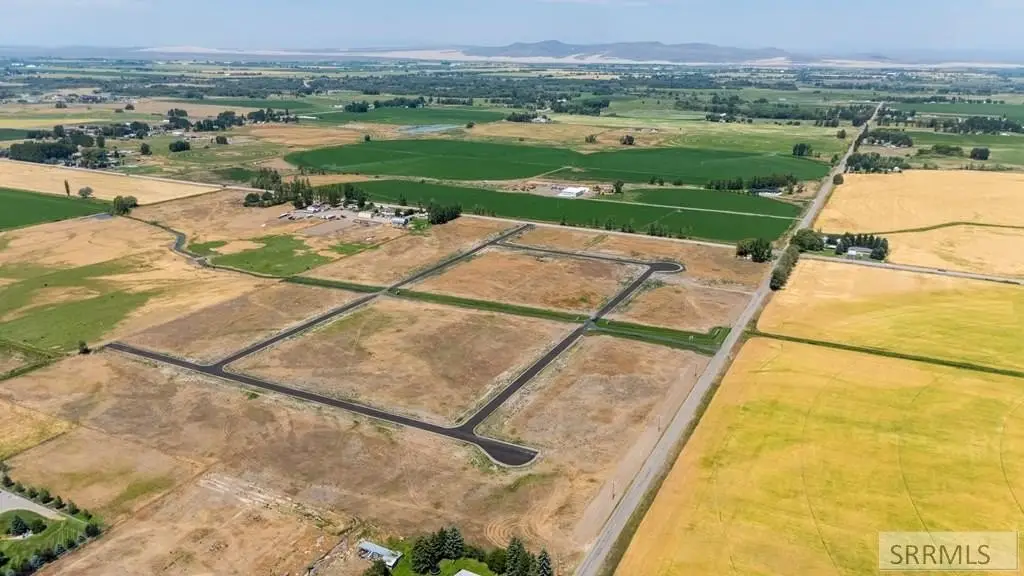 Picture 13