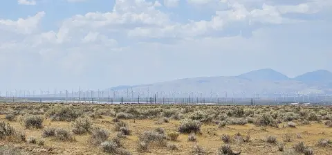 Flat Agricultural Land