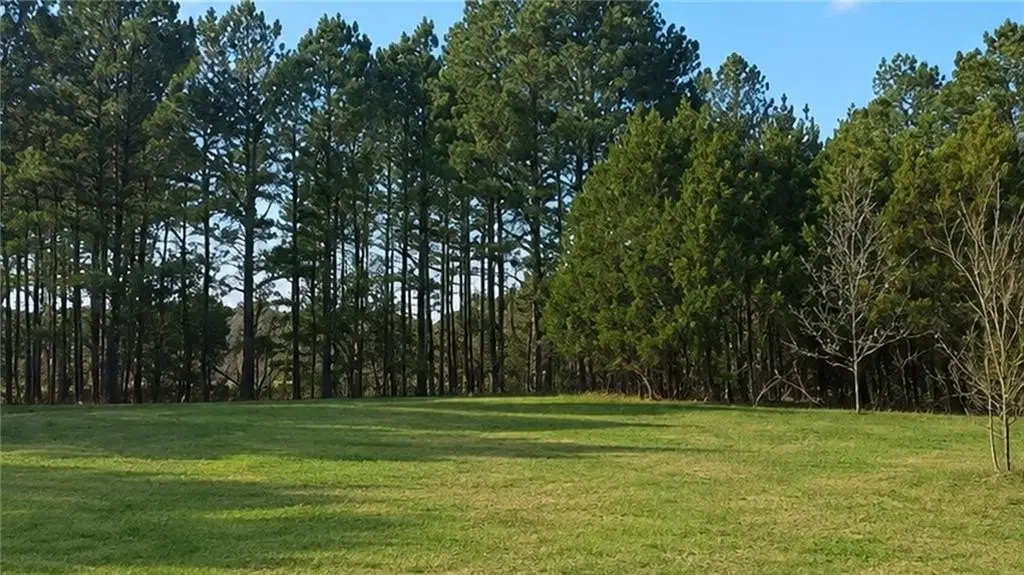 Picture 18
