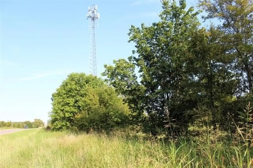 Picture 19