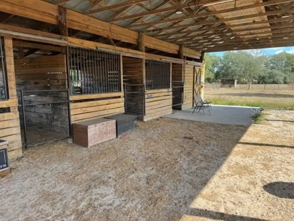 Picture 23