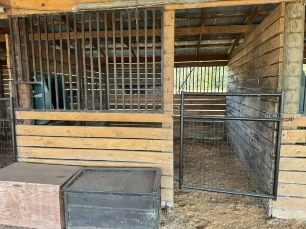 Picture 25