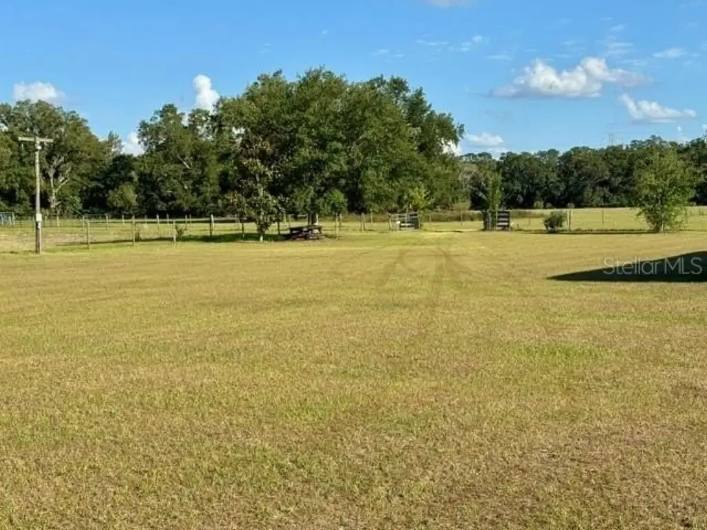 Picture 7