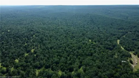 Secluded Recreational Land with Hunting