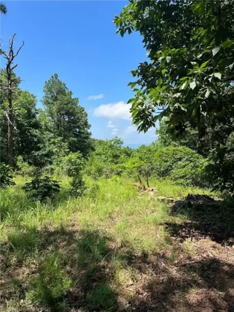 Secluded Mountain Land on K-Trail