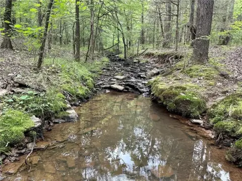 Oklahoma Sportsman Paradise with River