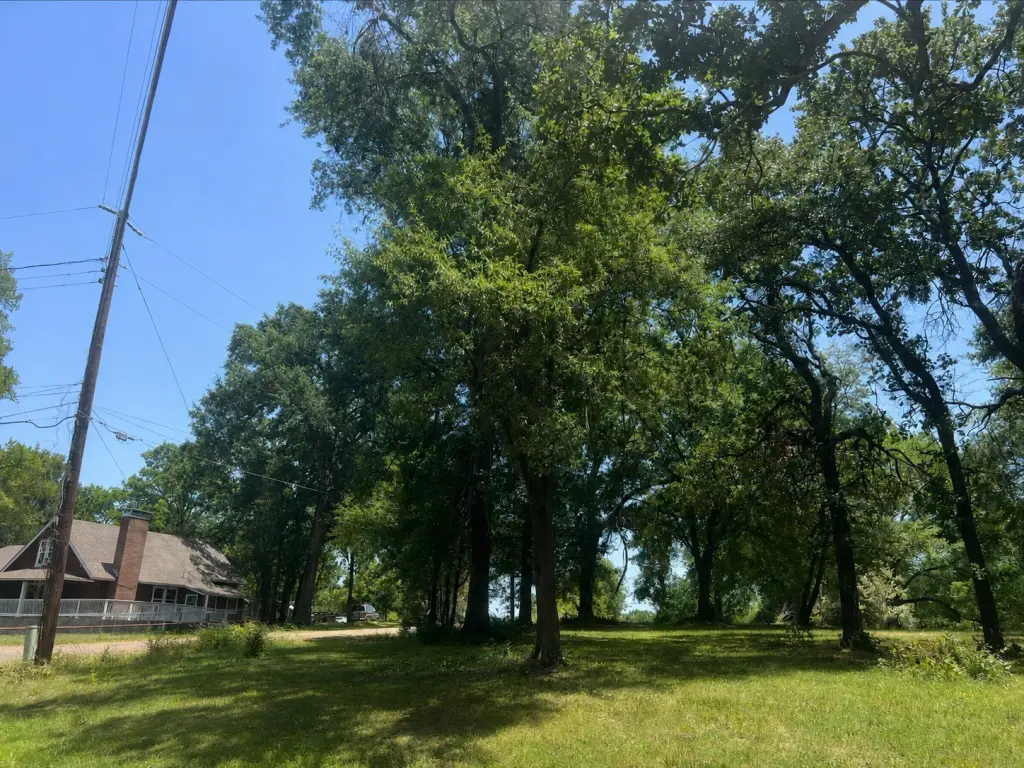 Picture 5