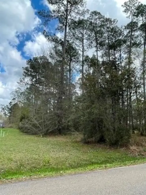 Picture 2