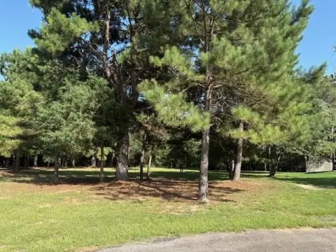 Wooded Lot in Holly Lake Ranch