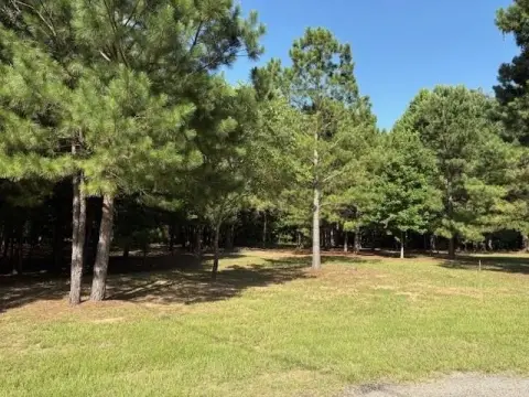 Holly Lake Ranch Homesite Opportunity