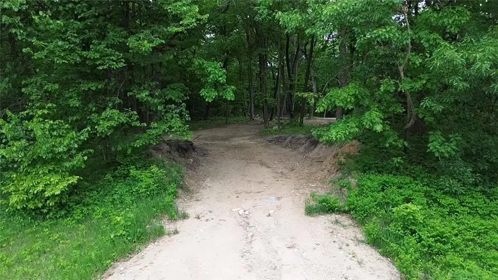 Picture 15