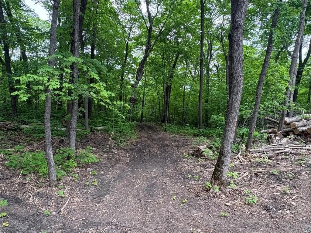 Picture 26