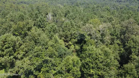 Surveyed Recreational Land with Timber