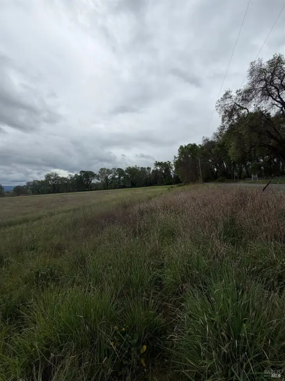 Picture 10