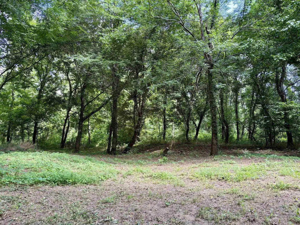 Picture 30