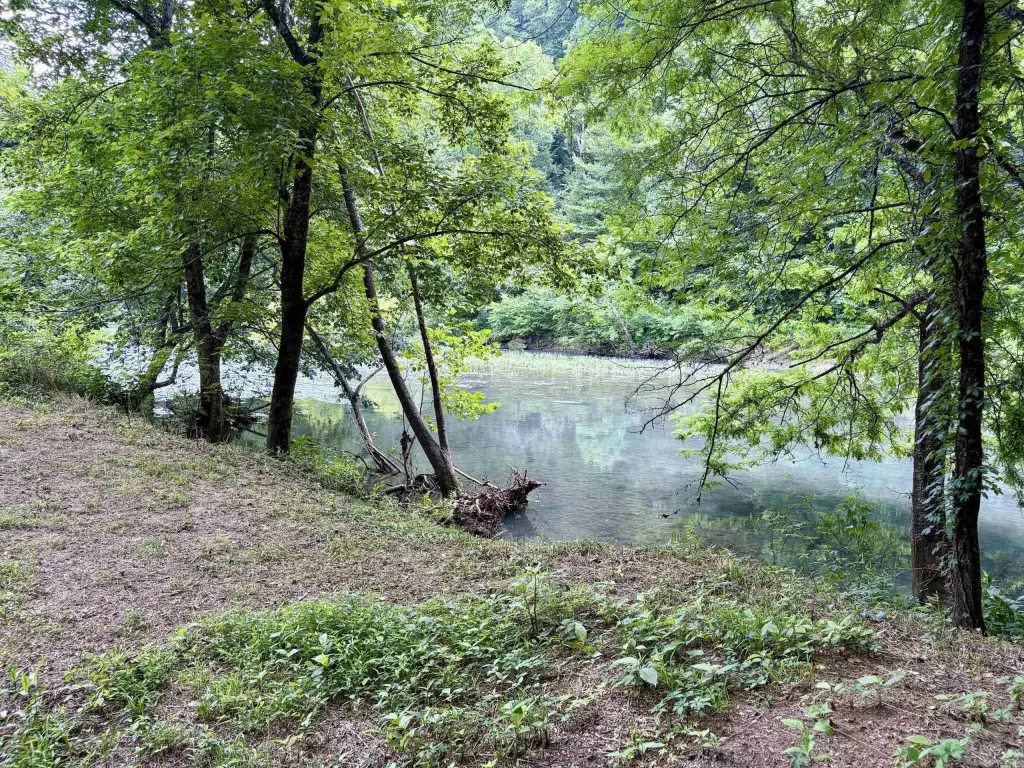 Picture 26