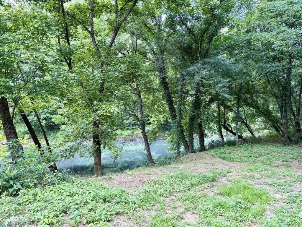 Picture 24