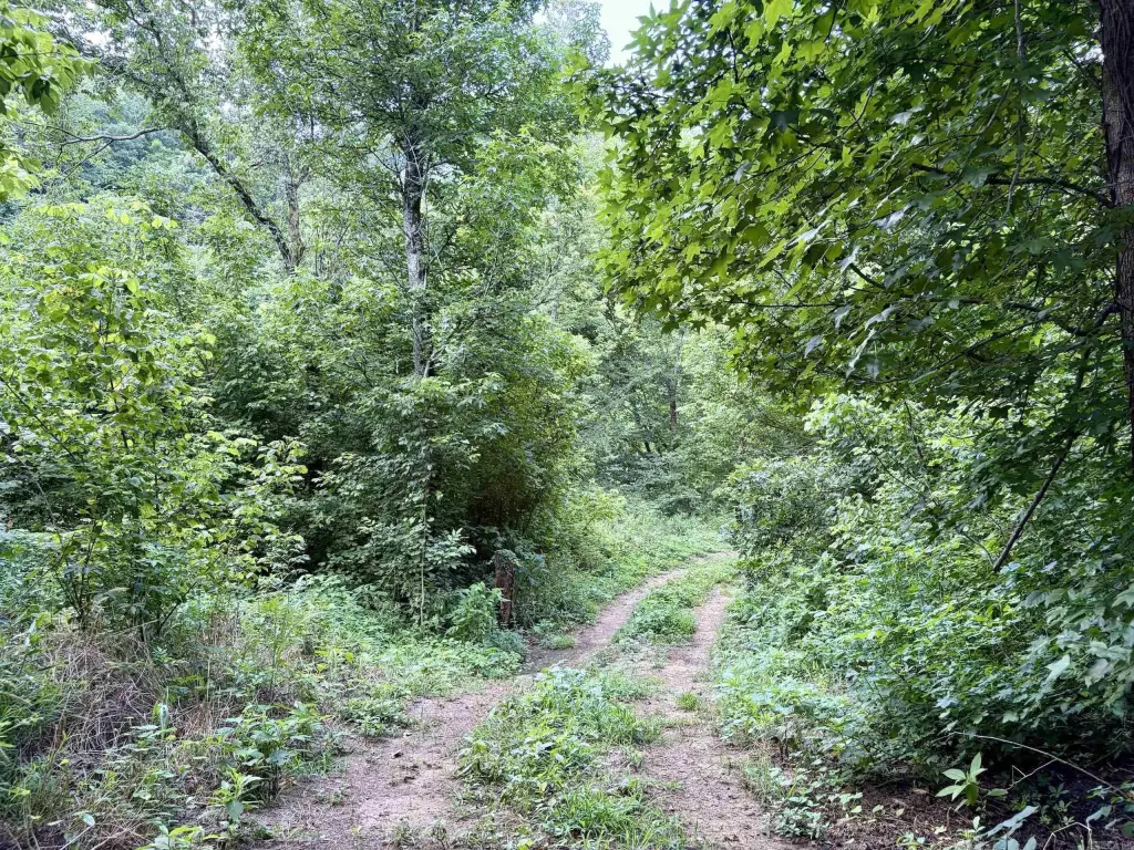 Picture 22