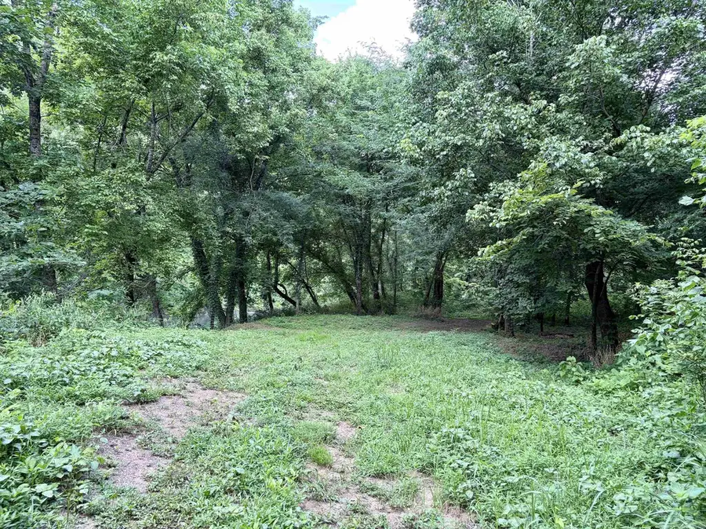 Picture 23