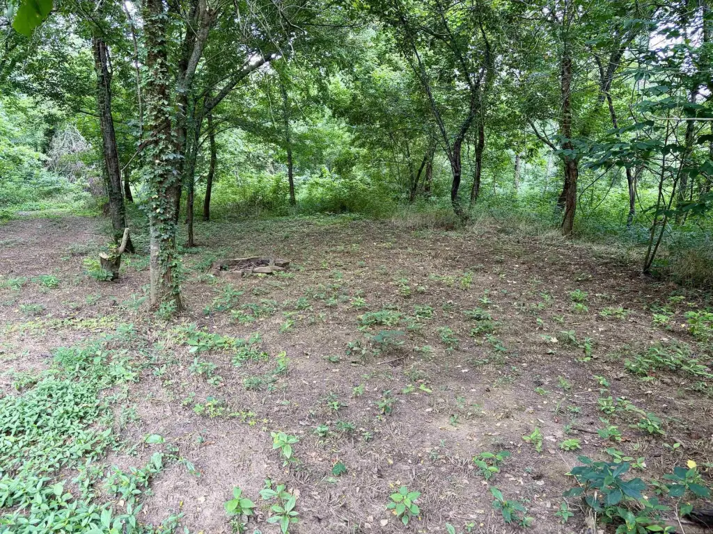 Picture 25