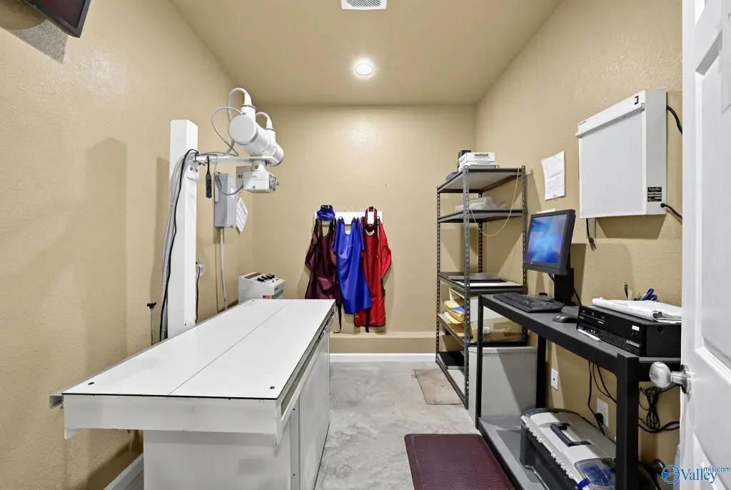 Picture 16