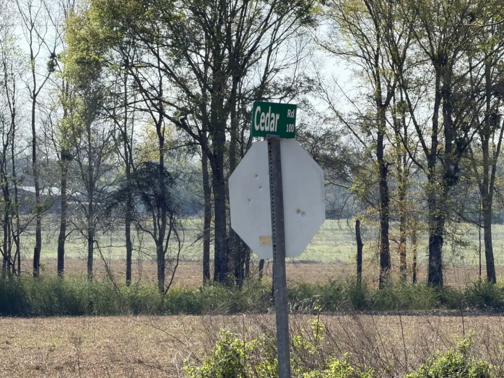 Picture 8