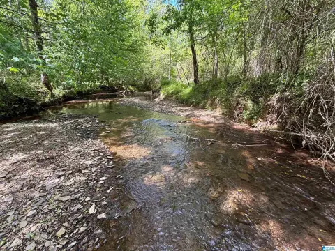 Unrestricted Creekfront Land