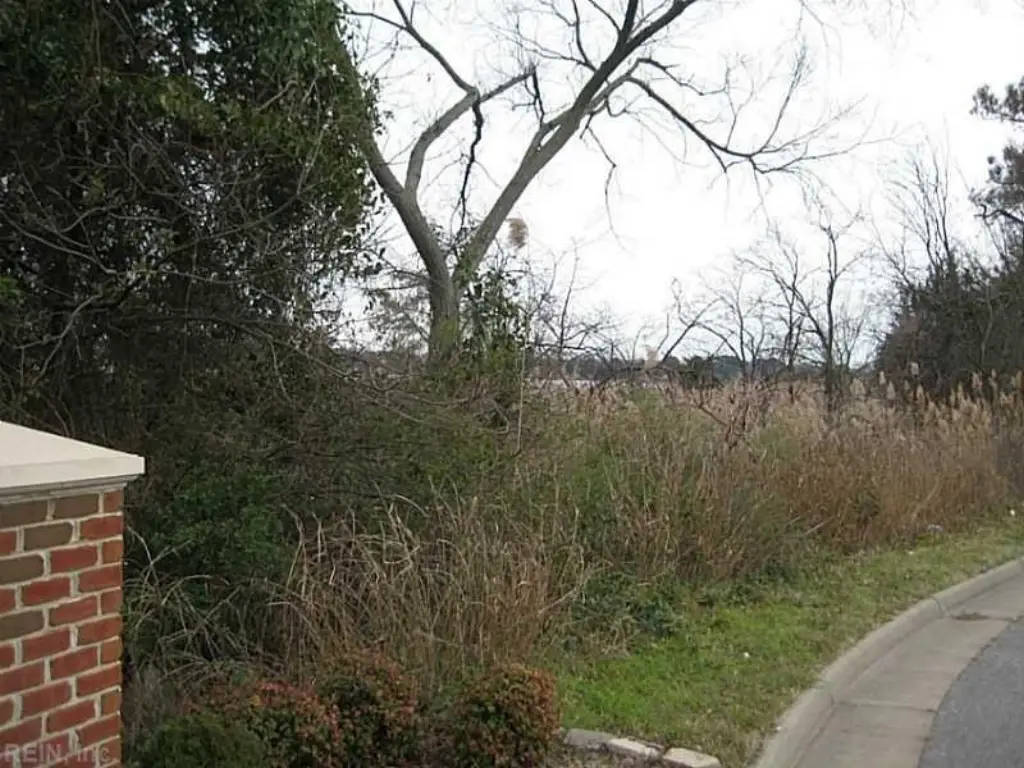 Picture 3
