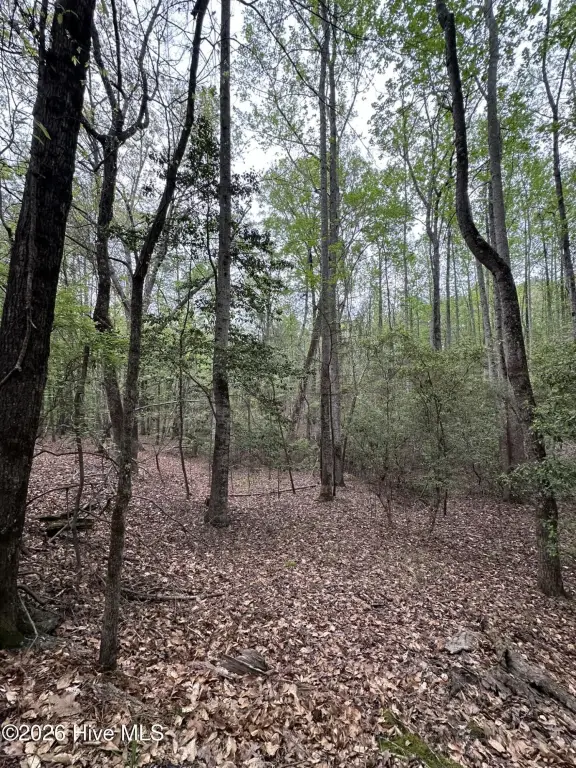 Picture 17