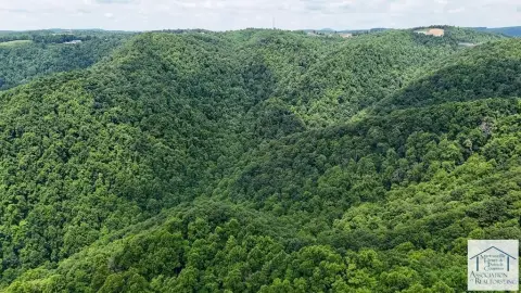 Patrick County Land for Sale