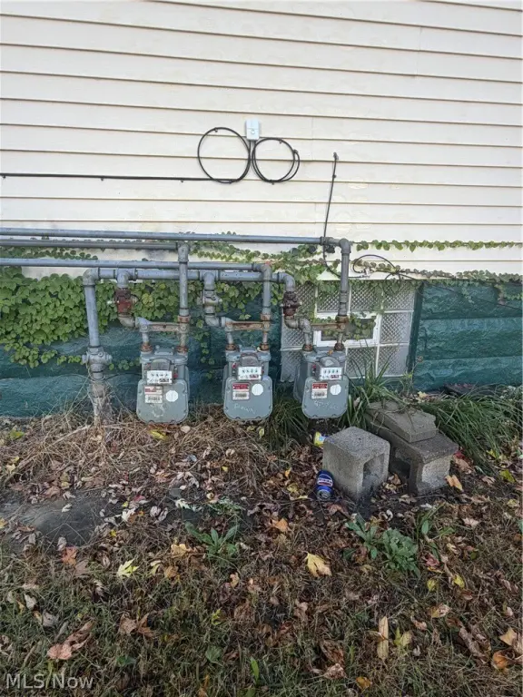 Picture 14