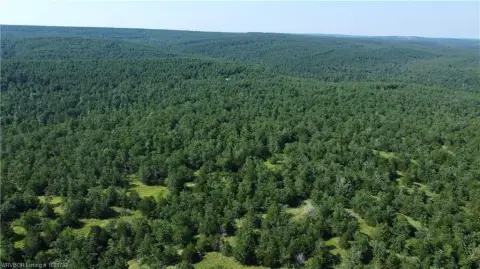 Secluded Recreational Land in Rattan, OK