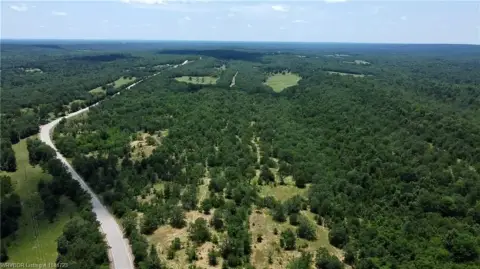 Secluded 50-Acre Rattan Land