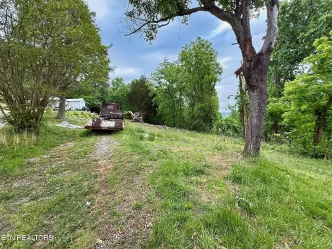 Unrestricted Land in Jacksboro, TN