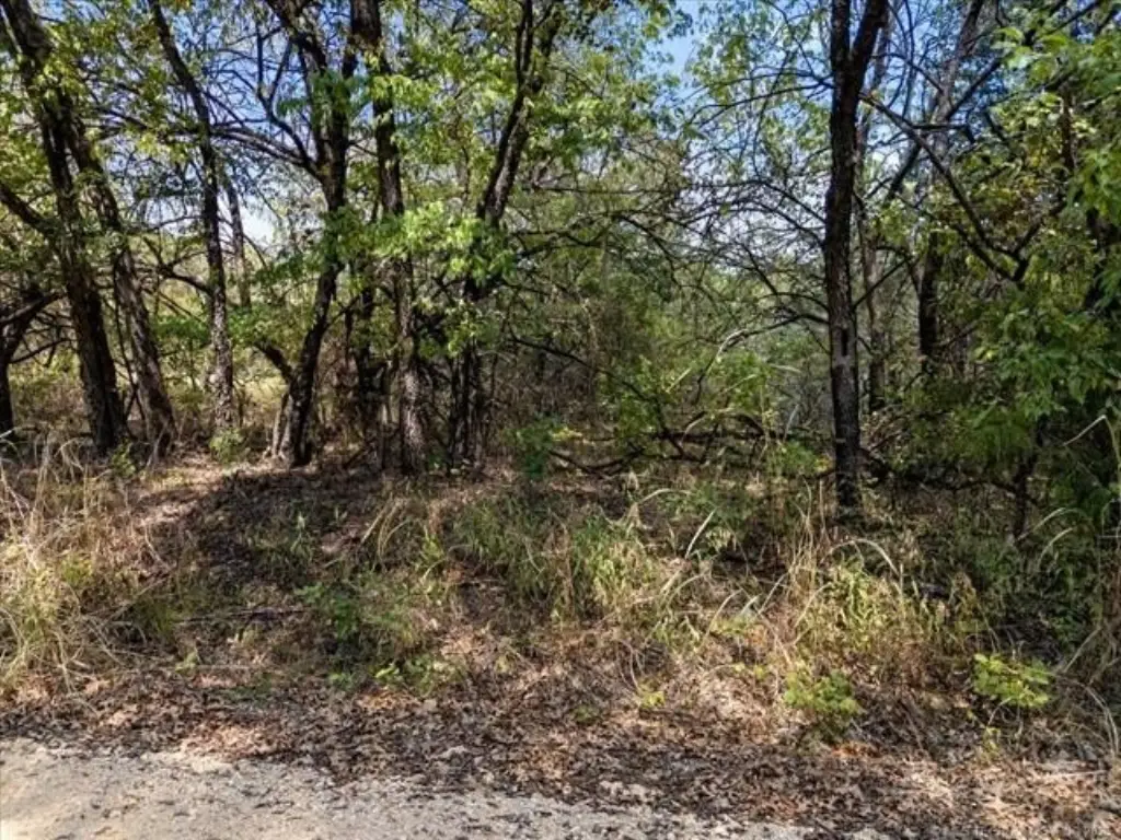 Picture 27
