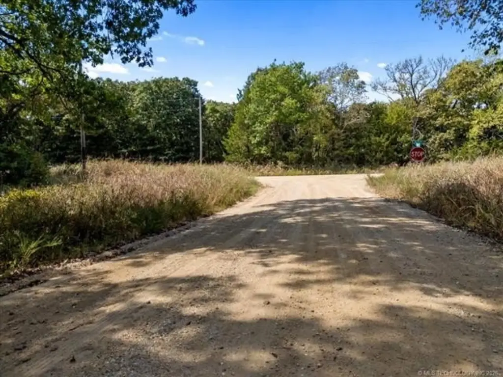 Picture 19