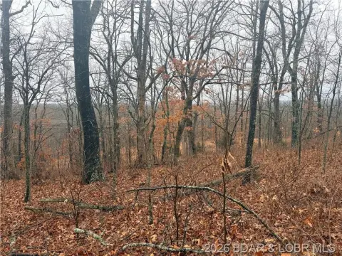 Land for Hunting or Building