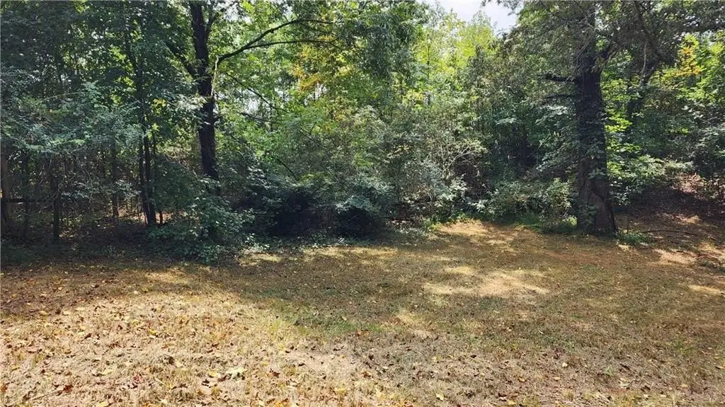 Picture 25