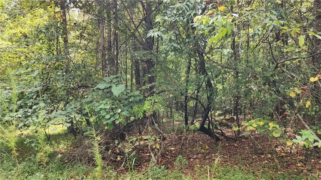 Picture 25