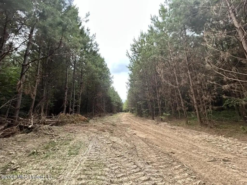 Picture 47
