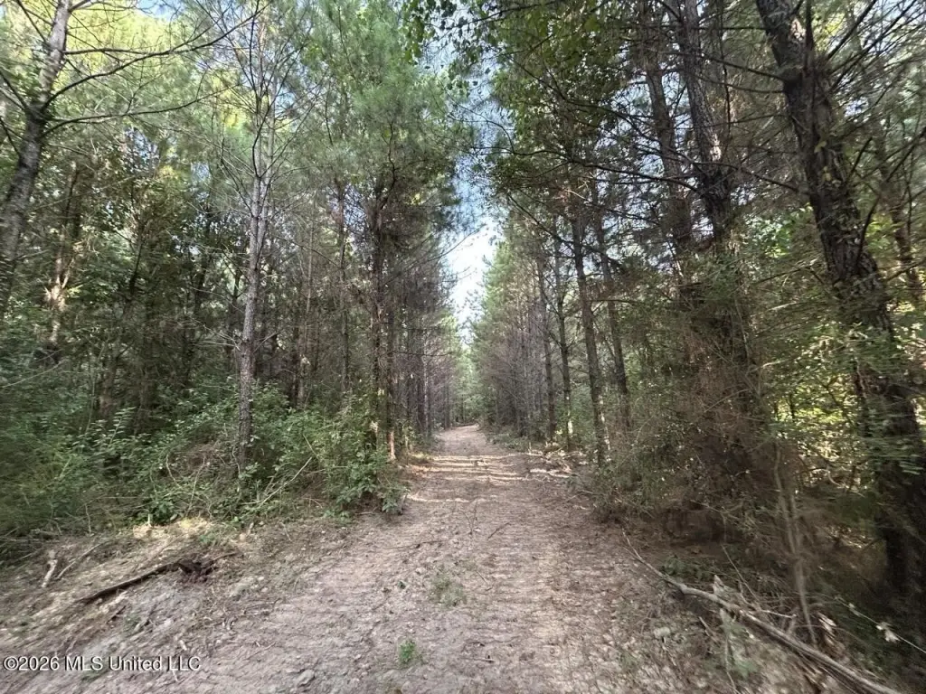 Picture 39