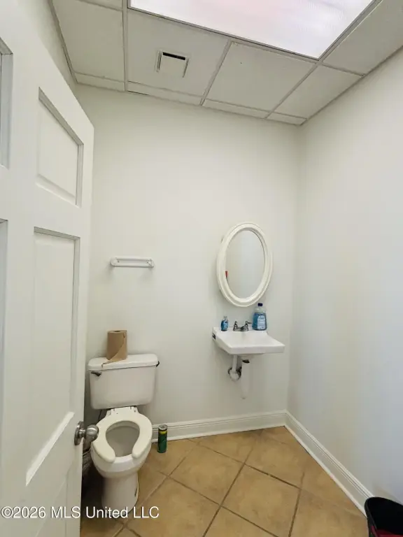 Picture 11