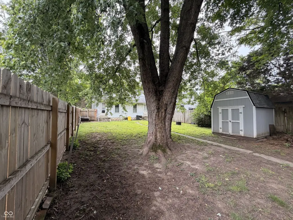 Picture 45
