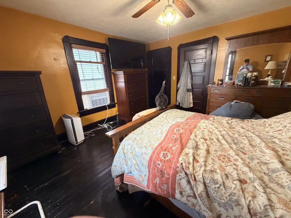 Picture 21
