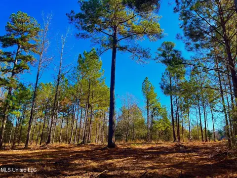 Wesson Hunting Land For Sale